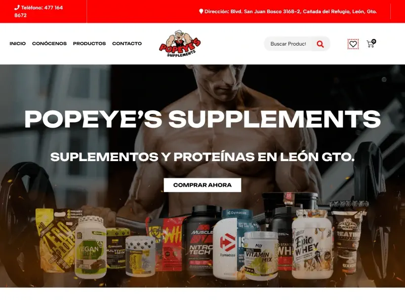 diseñadores web leon guanajuato